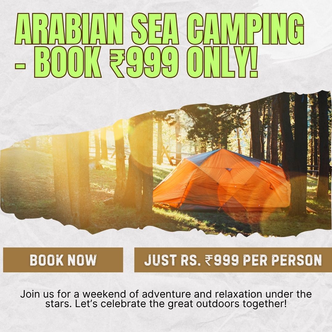 Arabian sea camping alibag