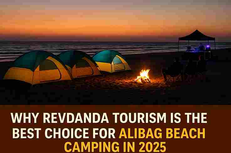 convertio.in_revdandna-2025_11zon